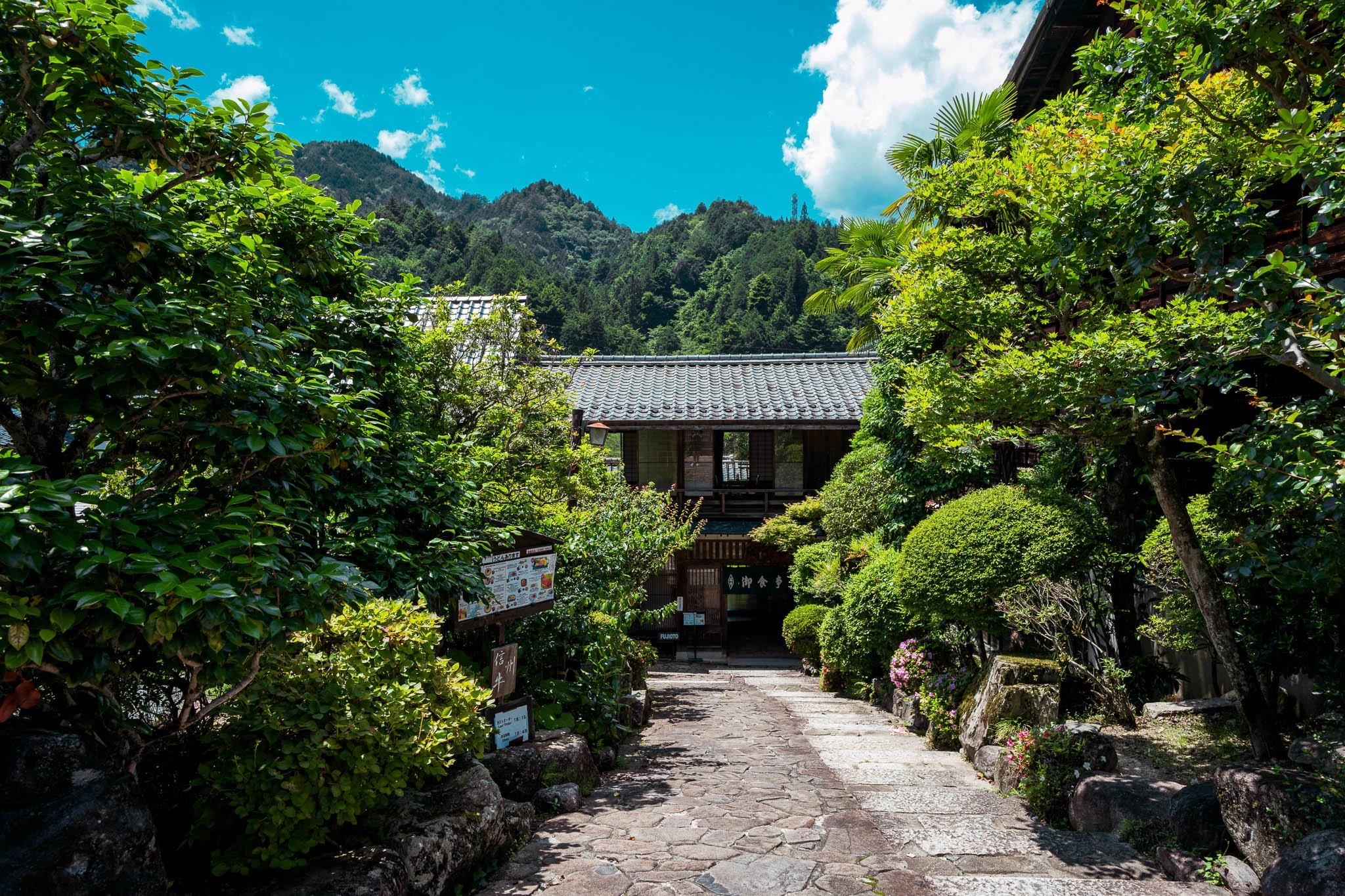 Stone path leading towards a gate in dense greenery