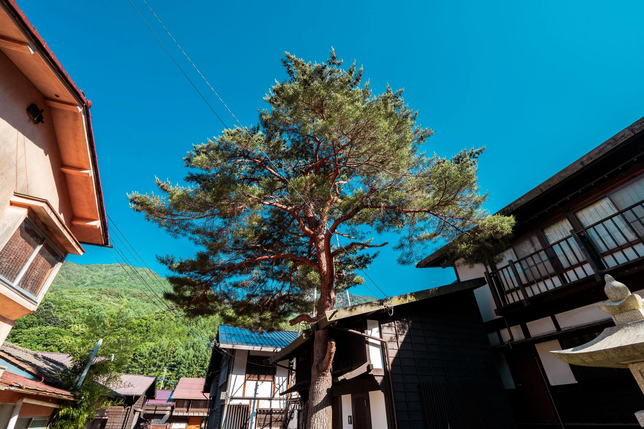 Traditional timber buildings beneath a clear sky in a post town