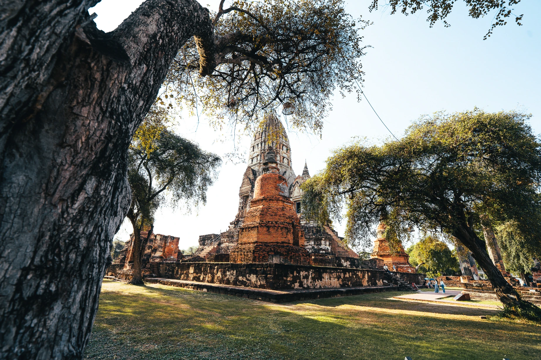 Historic temple ruins and sacred architecture in Ayutthaya, Thailand.