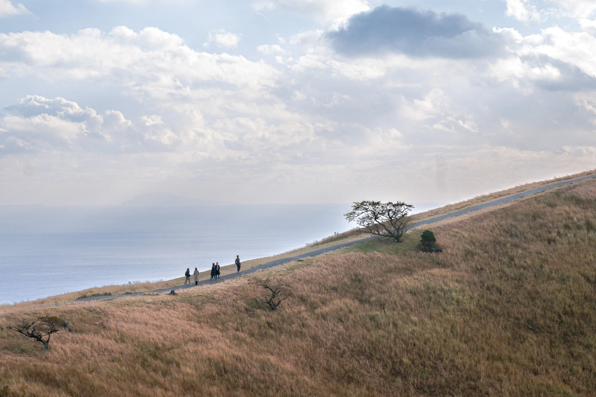 Walkers on a grassy ridge above the sea