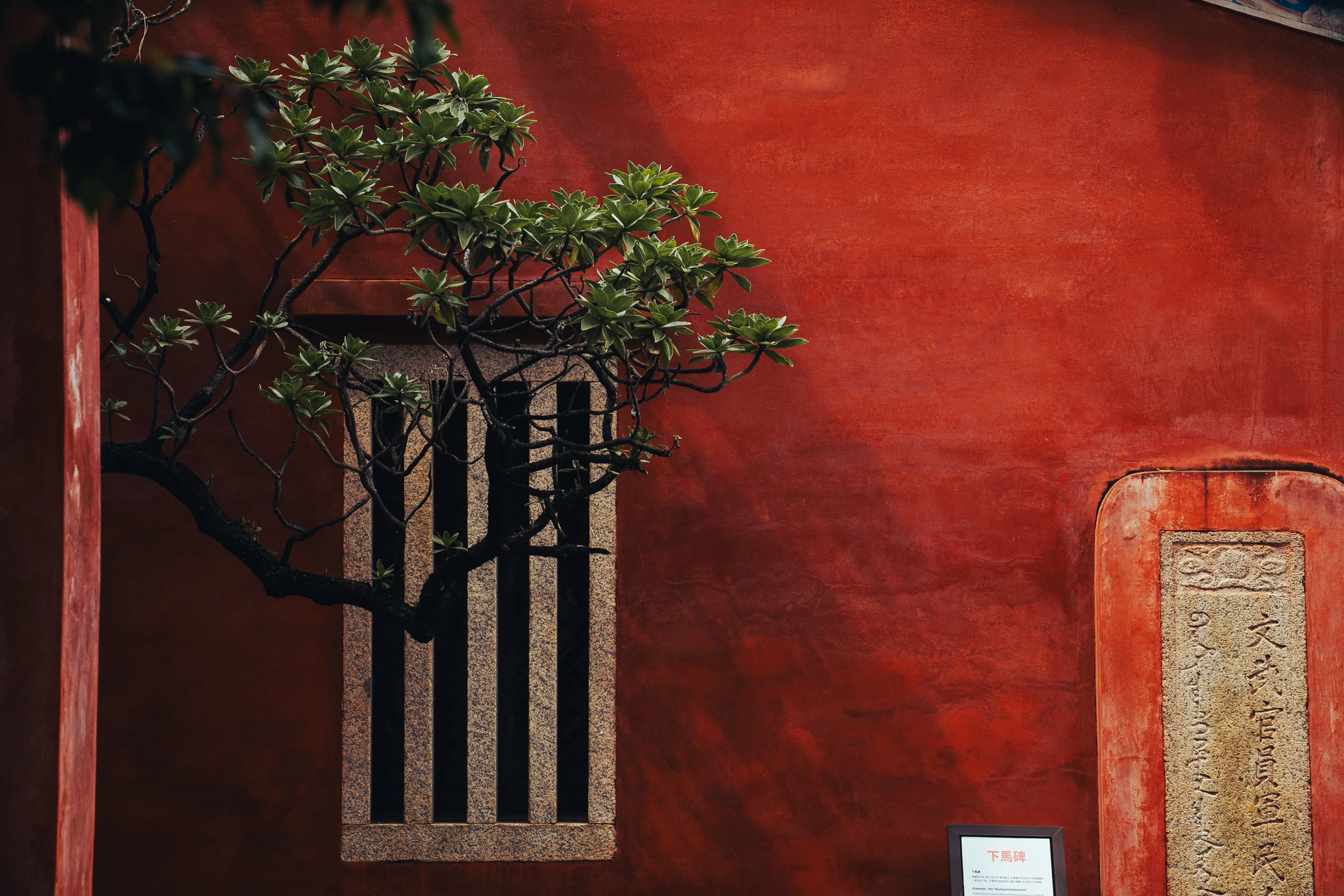 A tree beside a stone window and inscription set into a red wall at Tainan Confucius Temple