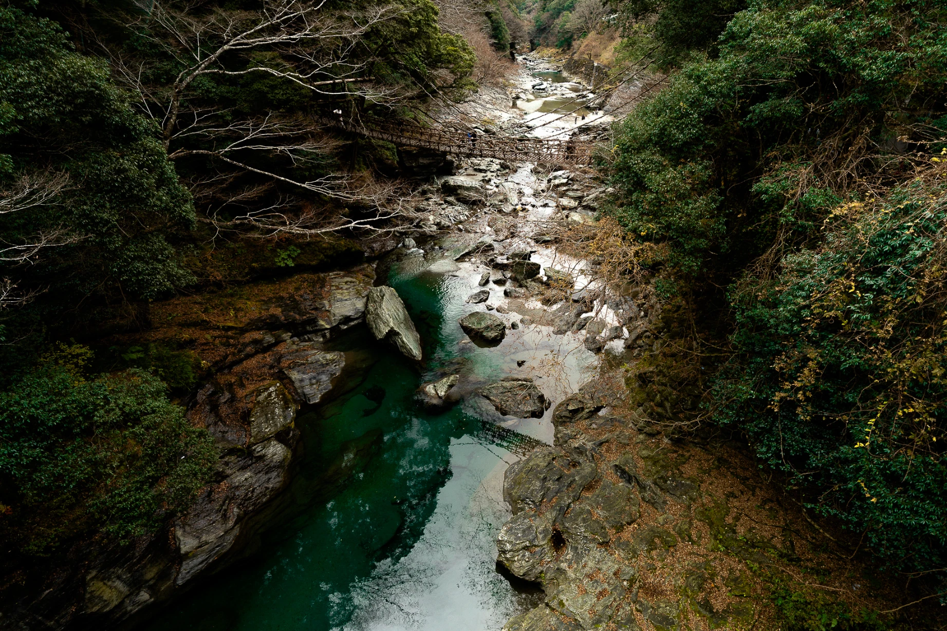 Traditional vine bridge spanning the forested Iya Valley in Shikoku.