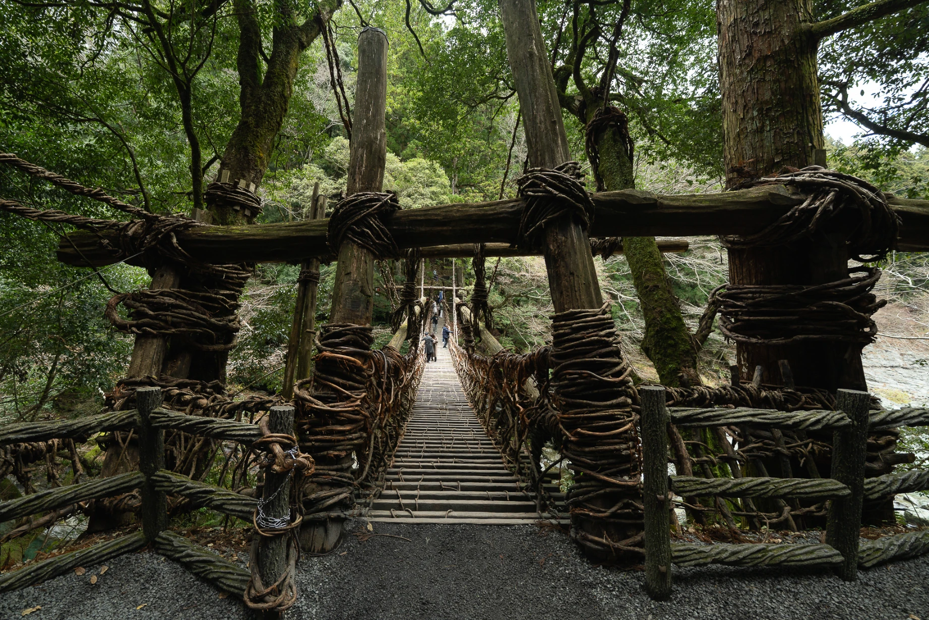 Traditional vine bridge spanning the forested Iya Valley in Shikoku.