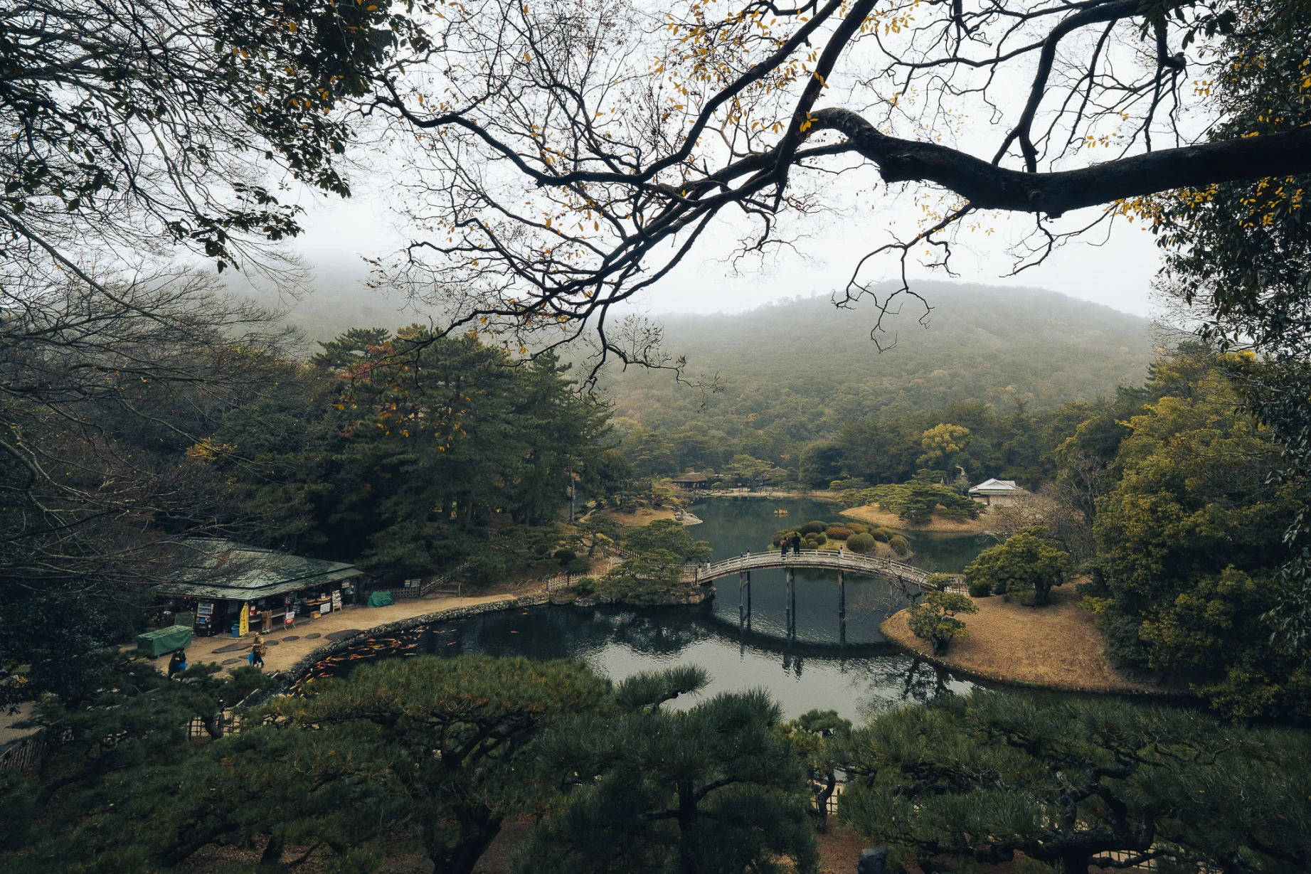 Pond, pine trees and carefully framed landscape at Ritsurin Garden in Takamatsu.