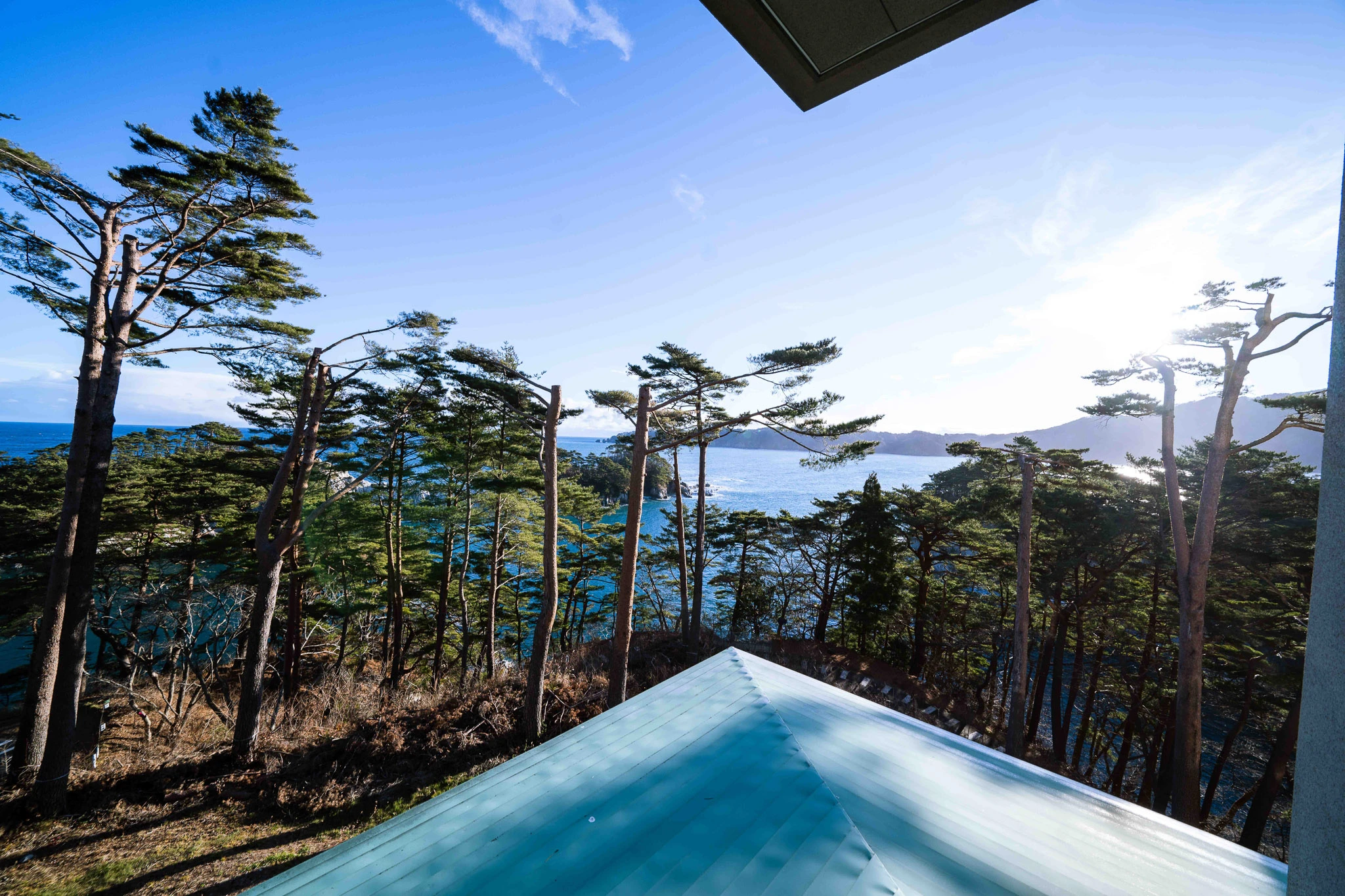 Pine trees and sea viewed beyond an outdoor ledge