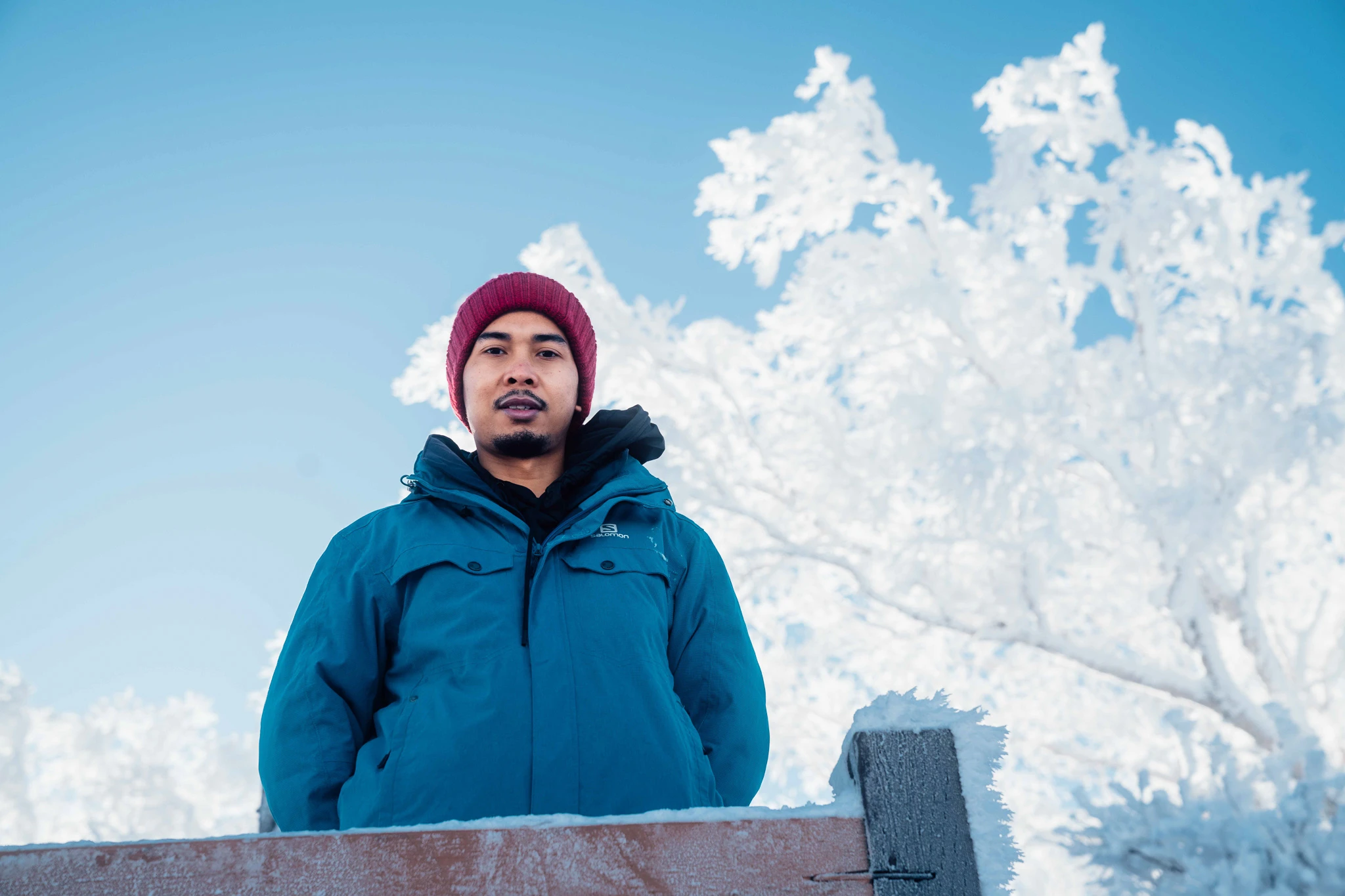 Portrait in a blue jacket against snow-laden branches
