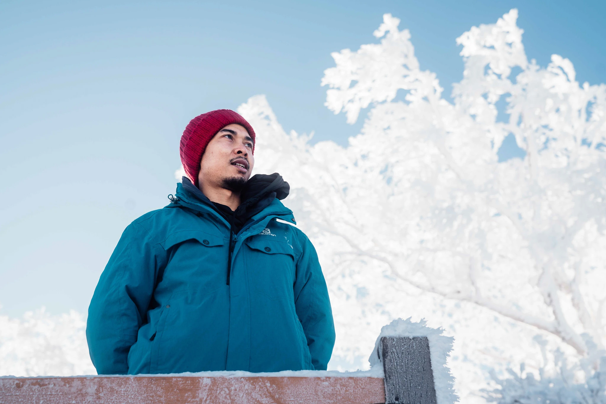 Winter portrait beside frost-covered trees
