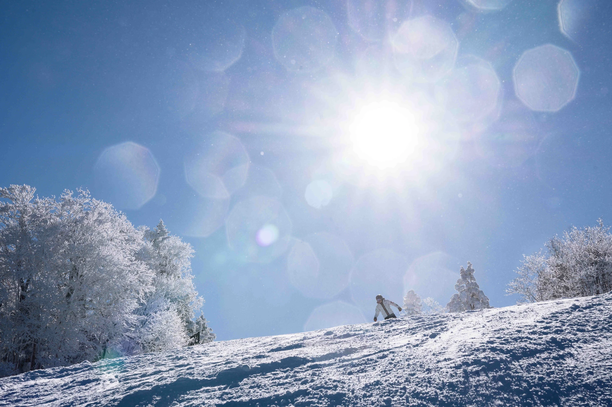 Winter sun above snow-covered trees at Appi Kogen
