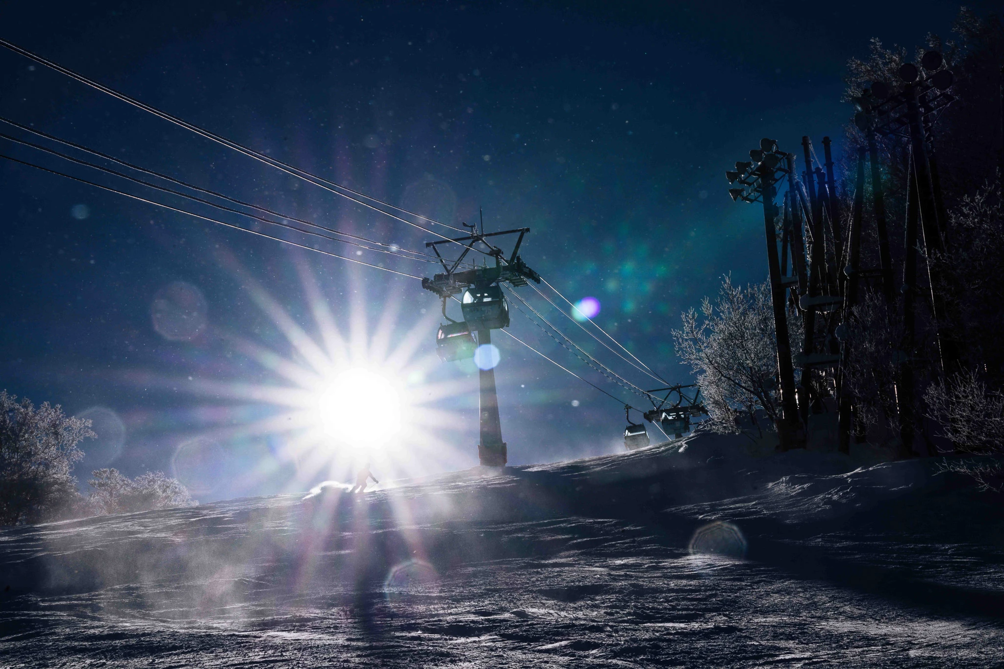 Sunlight shining through snowy trees on a slope