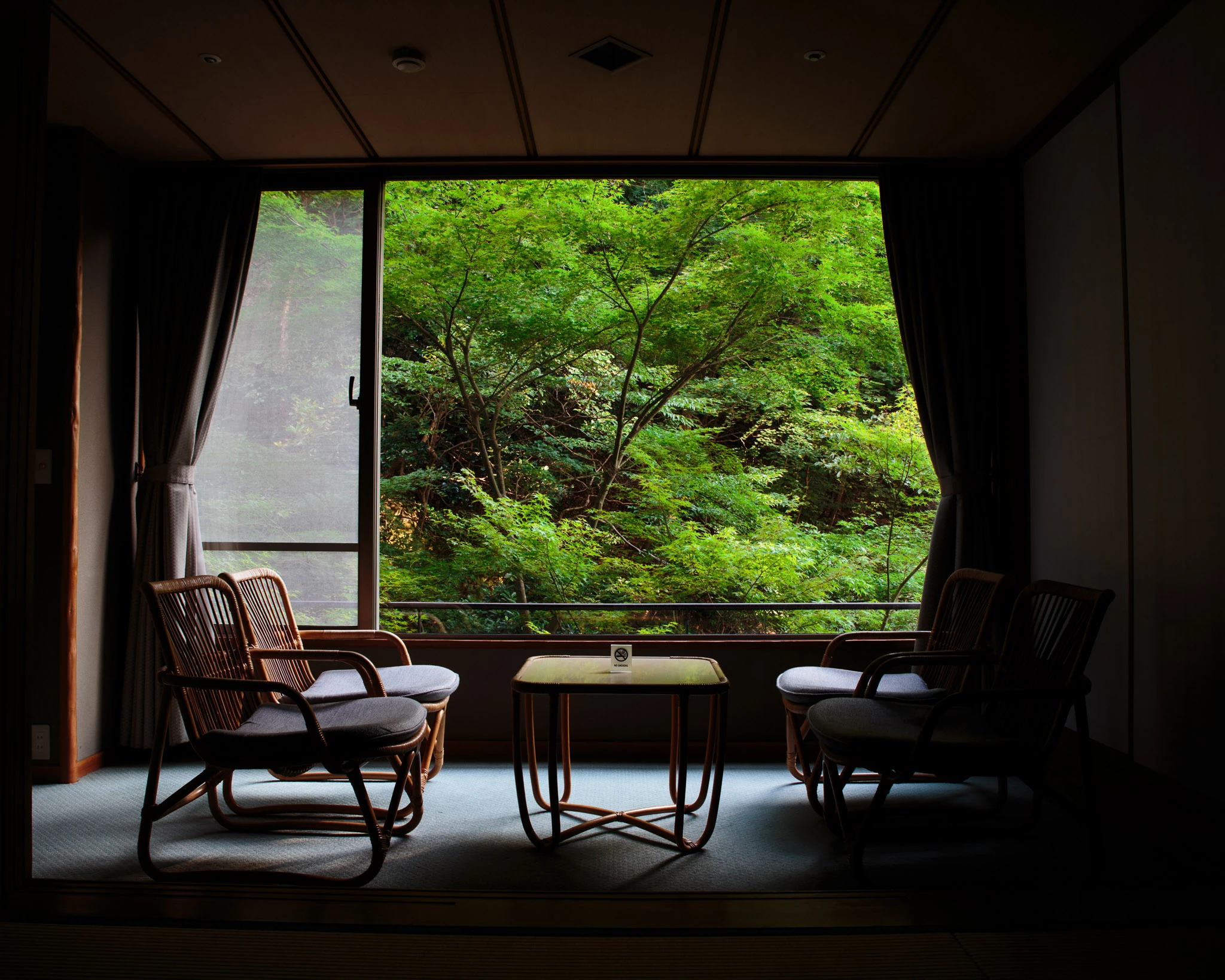 Lounge seating framed by a green garden view