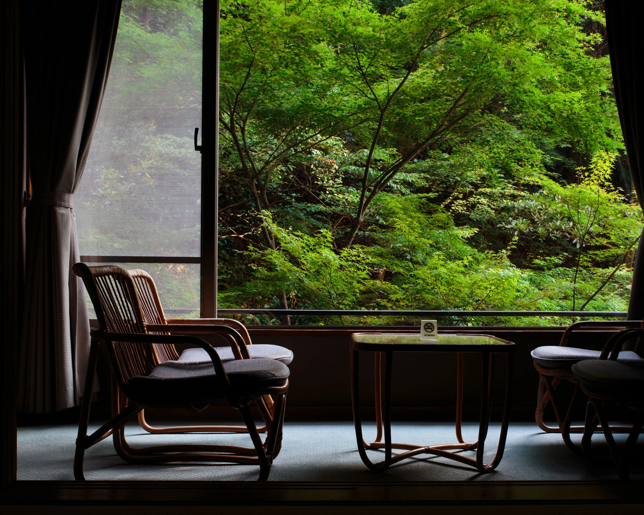 Garden-facing chairs beside a floor-to-ceiling window